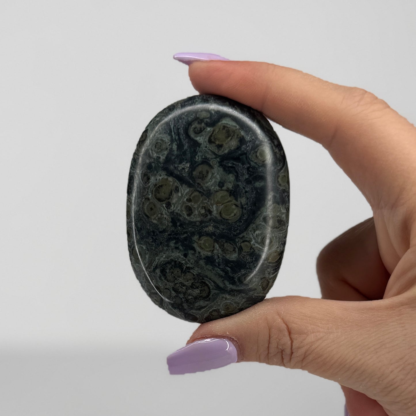 Kambaba Jasper Palm #26