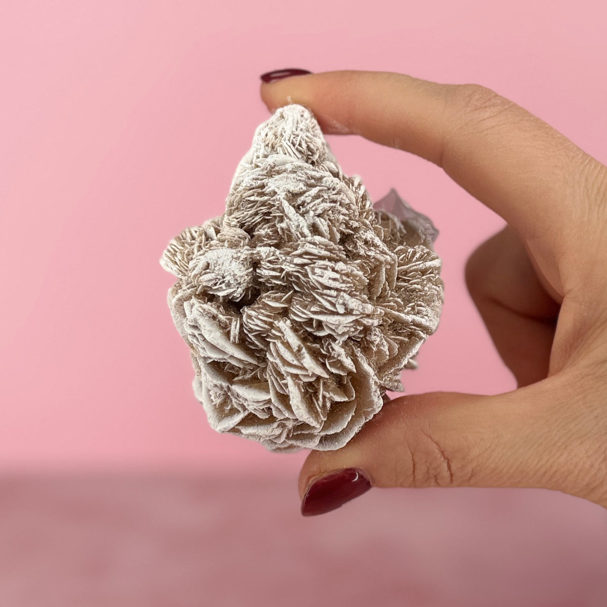 Desert Rose #79