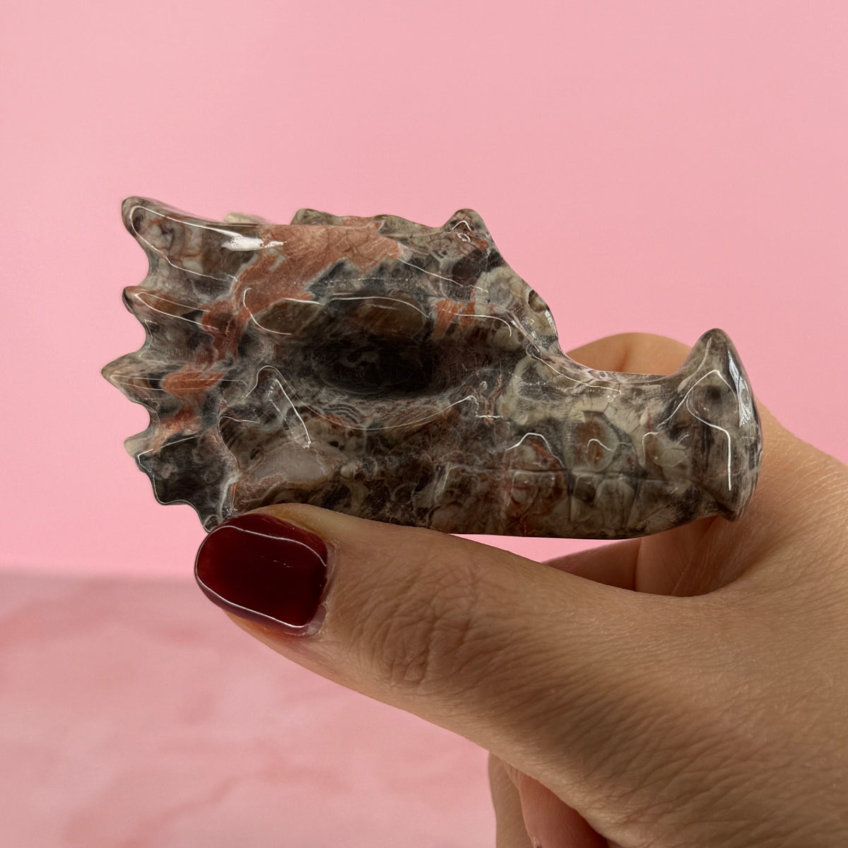 Money Agate Dragon Head