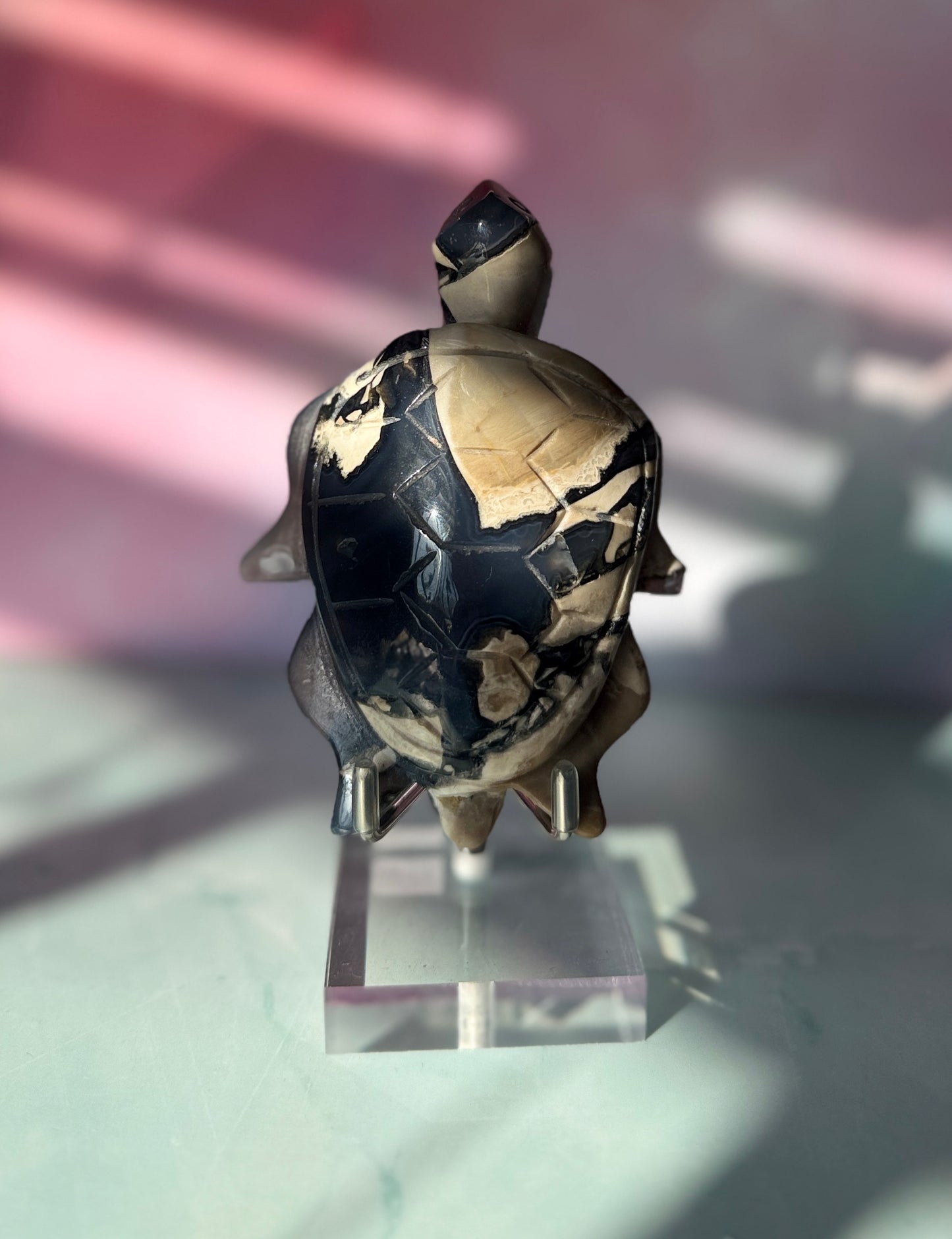 Volcano Agate Turtle Carving 251g