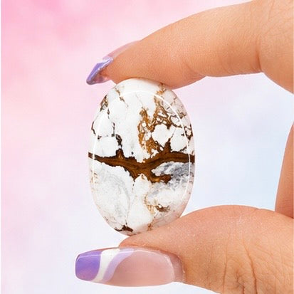 Wild Horse Jasper Cabochon 11