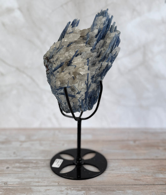 Blue Kyanite and Quartz Statement Piece