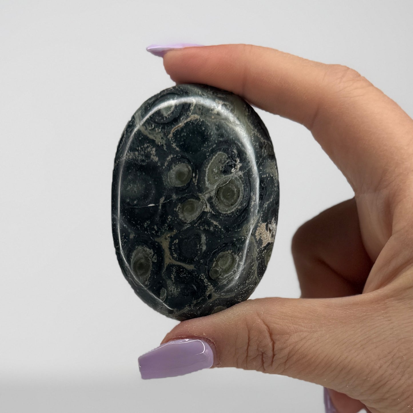 Kambaba Jasper Palm #25