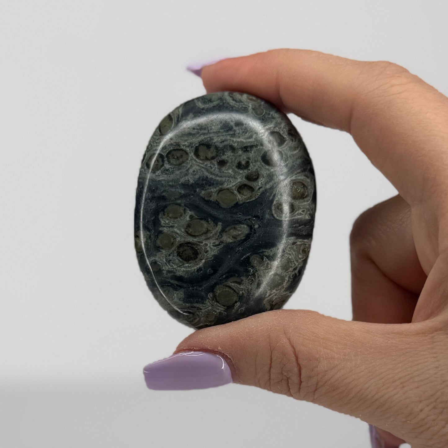 Kambaba Jasper Palm #24