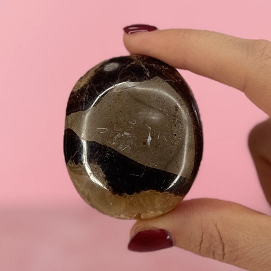 Septarian Palm Stone #91