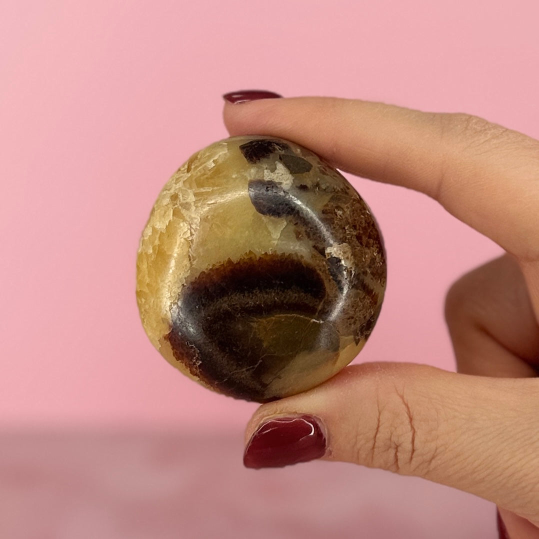 Septarian Palm Stone #92