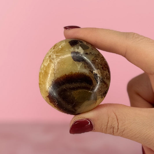 Septarian Palm Stone #92