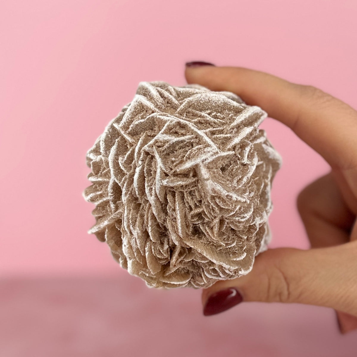 Desert Rose #80