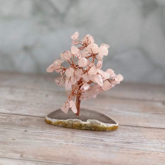 Rose Quartz Gem Tree on Agate