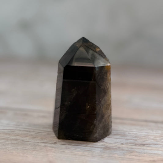 Smoky Golden Healer Quartz Tower 89g