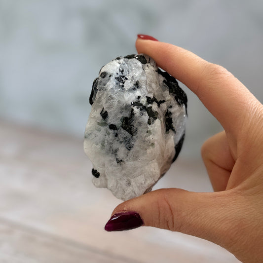Black Tourmaline in Blue Flash Moonstone 171g