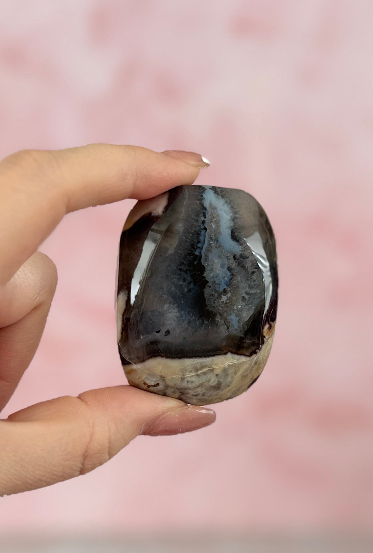 Volcano Agate Palm Stone