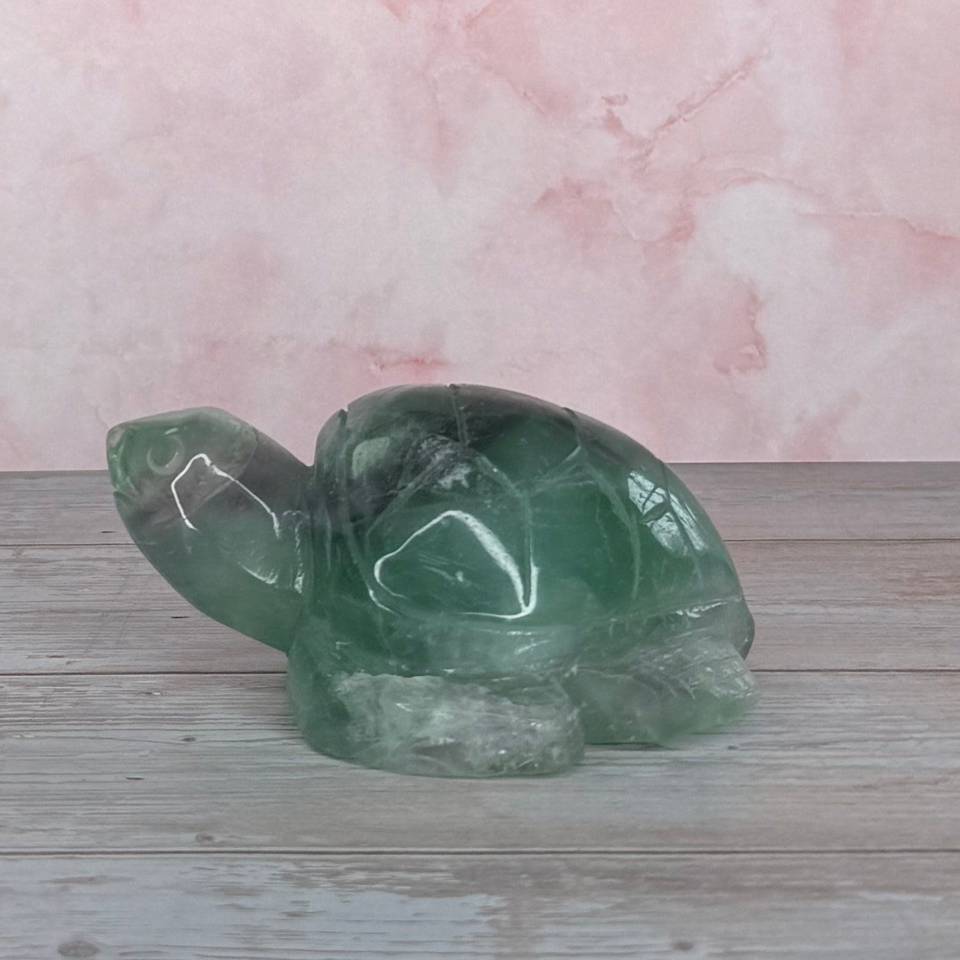 Fluorite Turtle