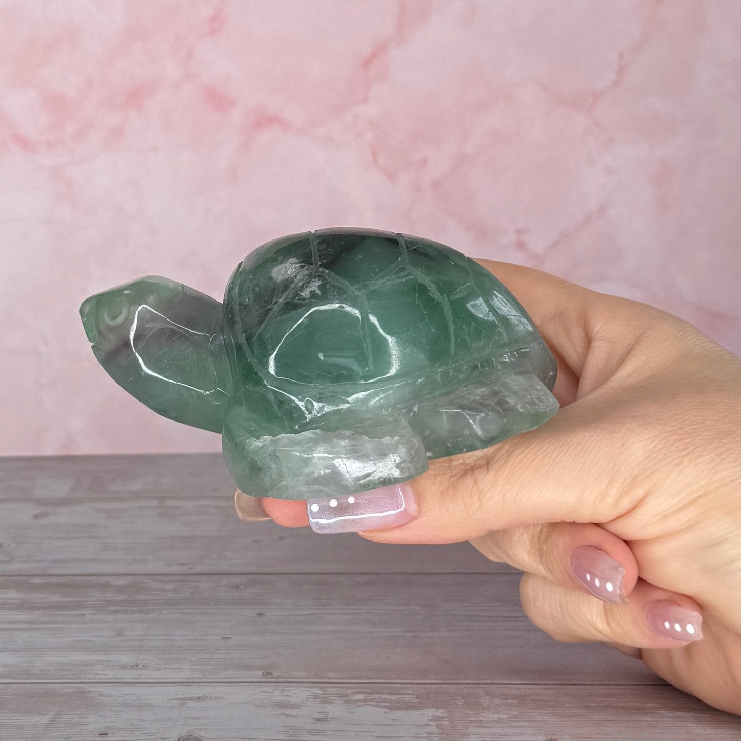 Fluorite Turtle