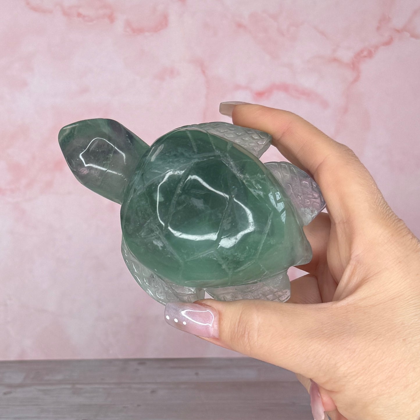Fluorite Turtle