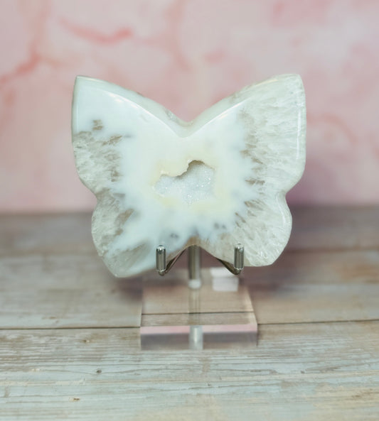 CARVED AGATE BUTTERFLY WITH DRUZY POCKET – 374g